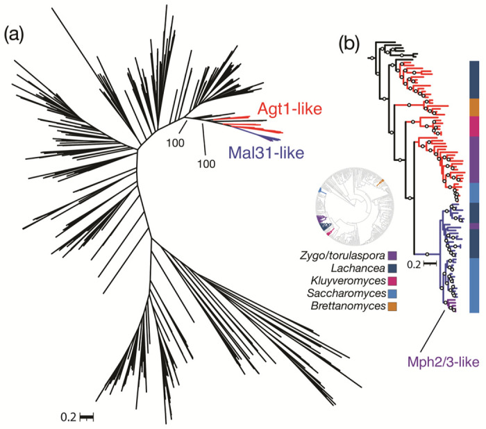 Figure 6.