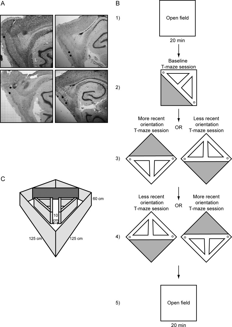 Figure 1.