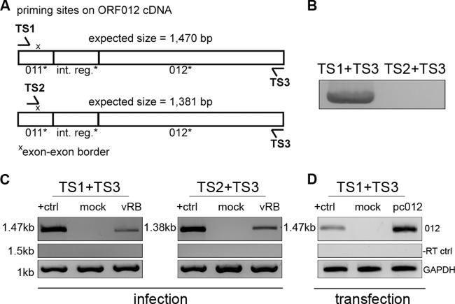 FIG 2