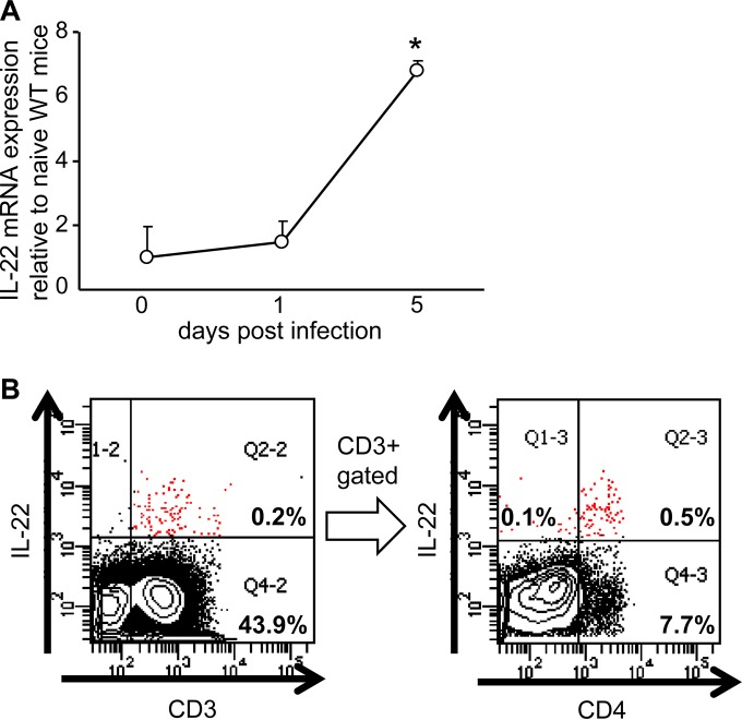 FIG 1