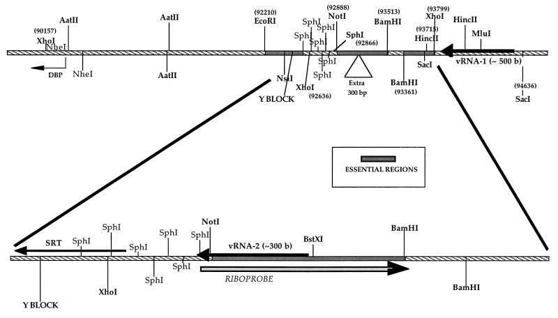 FIG. 8