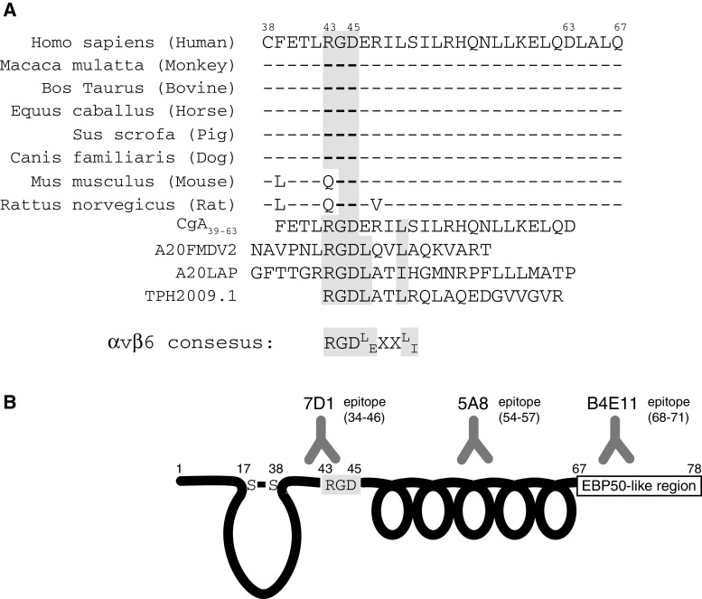 Fig. 6