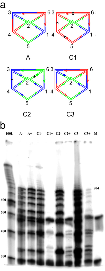 Figure 2