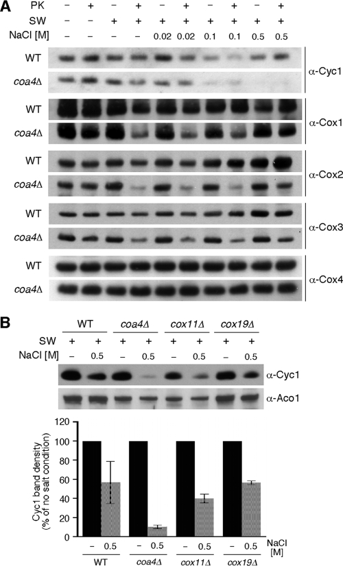 FIG. 8.