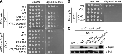 FIG. 7.