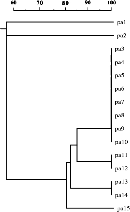 Fig. 2