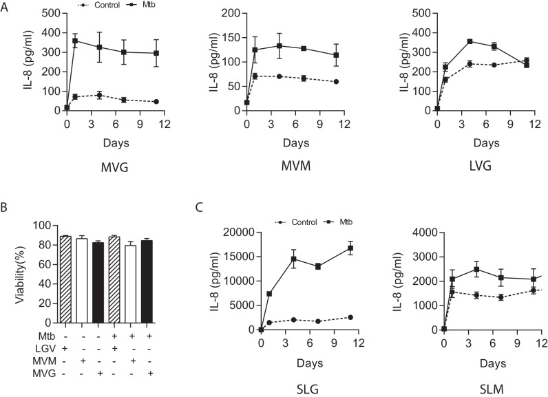 Figure 1—figure supplement 3.