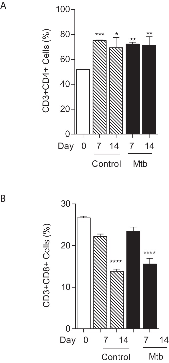 Figure 1—figure supplement 5.