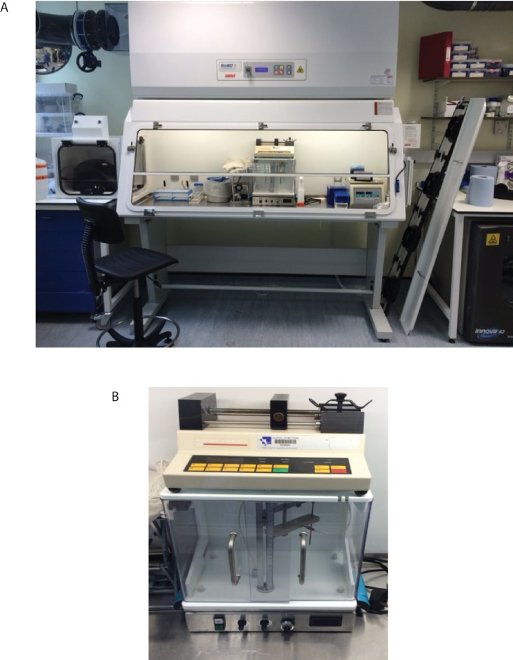 Figure 1—figure supplement 1.