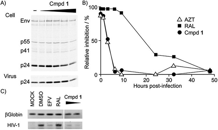 Figure 2.