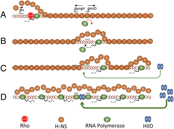 Fig. 6.