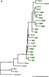 FIG.6.