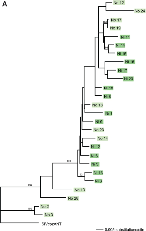 FIG.6.