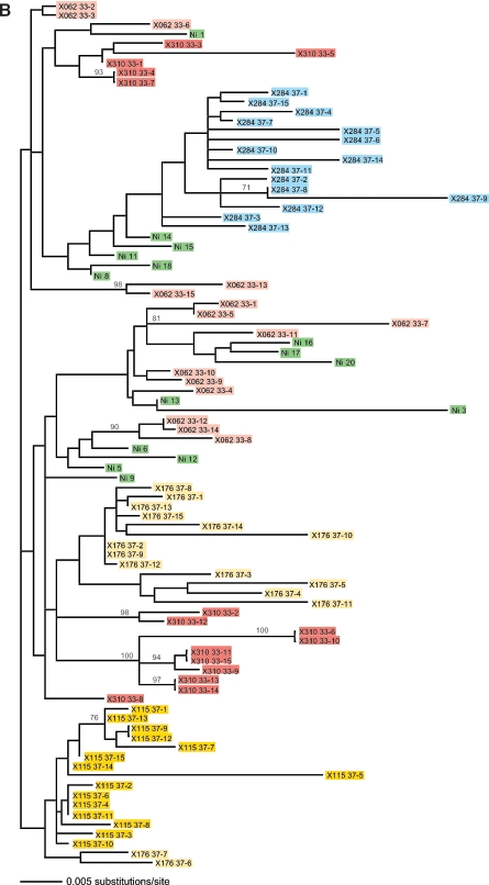 FIG.6.