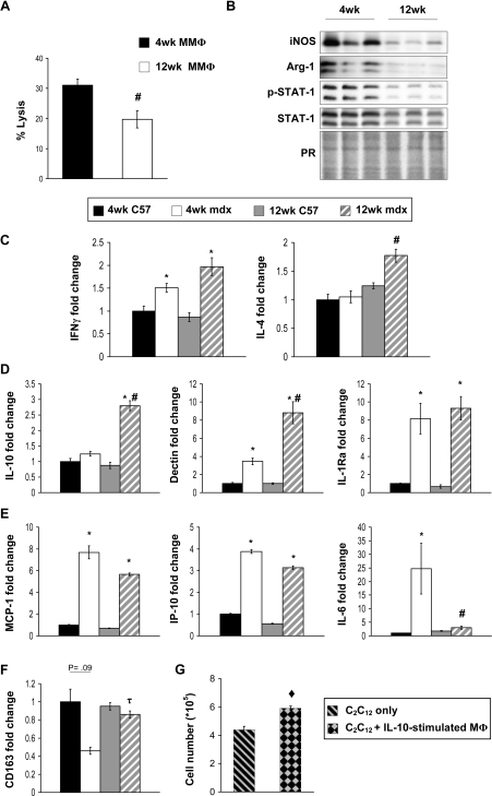 Figure 6.