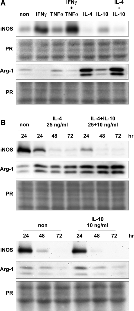 Figure 2.