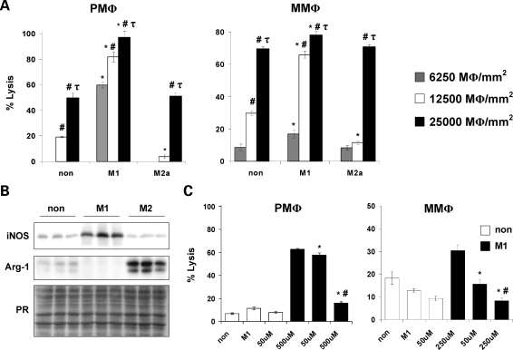 Figure 3.