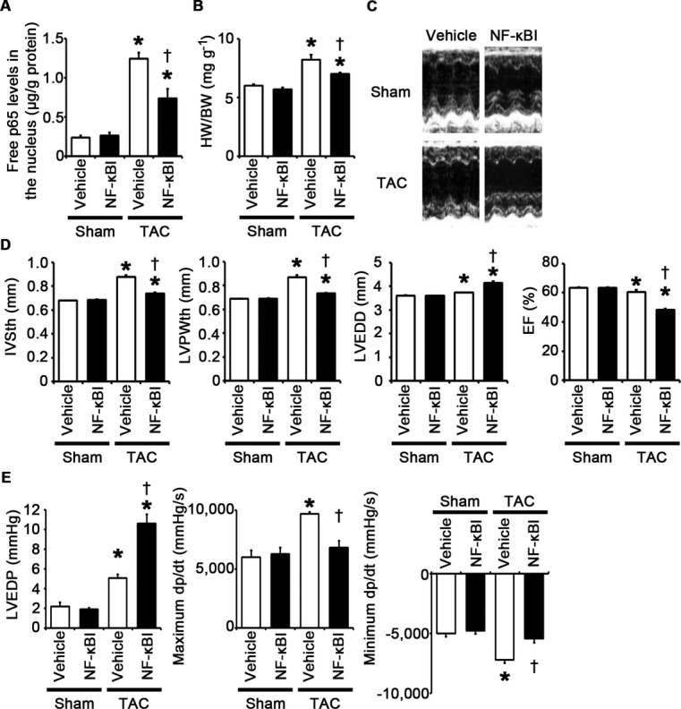 Figure 13.