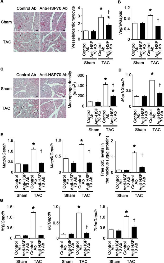 Figure 27.