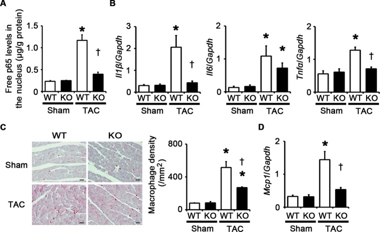 Figure 6.