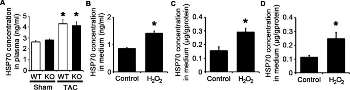 Figure 20.