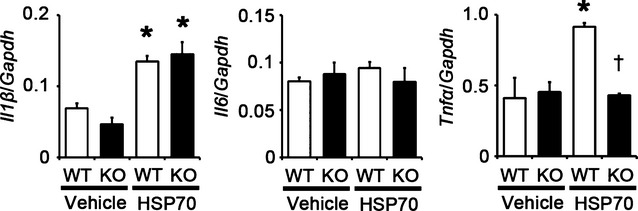 Figure 24.