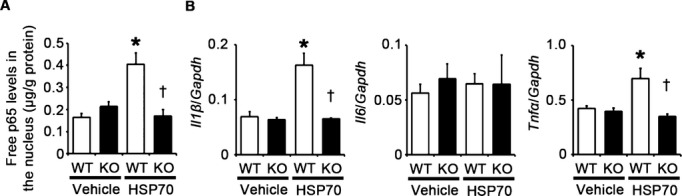 Figure 23.