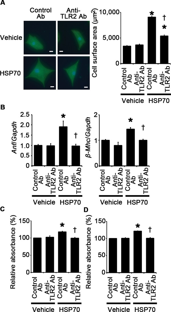 Figure 21.