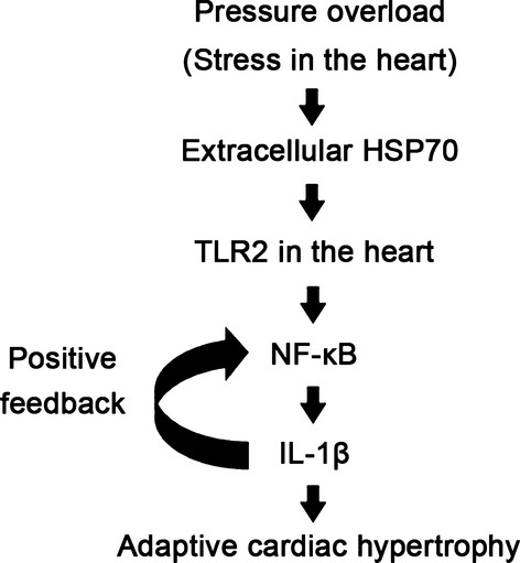 Figure 28.