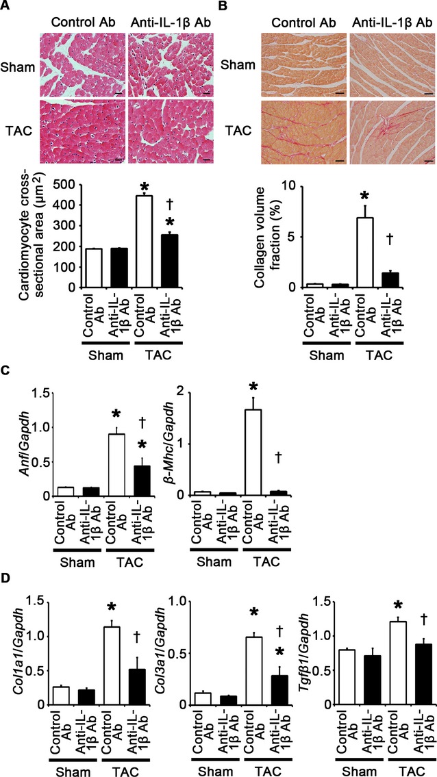 Figure 17.