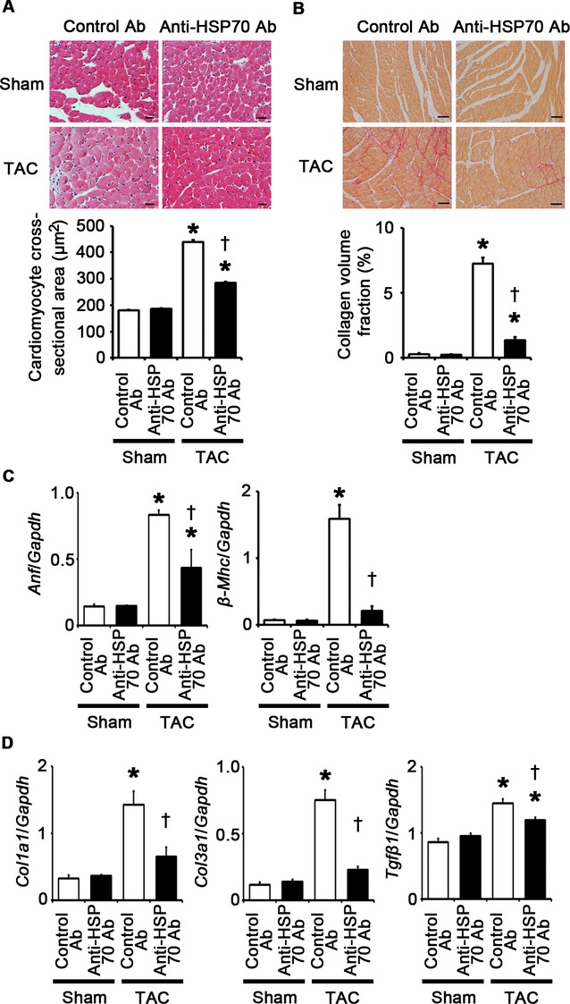 Figure 26.