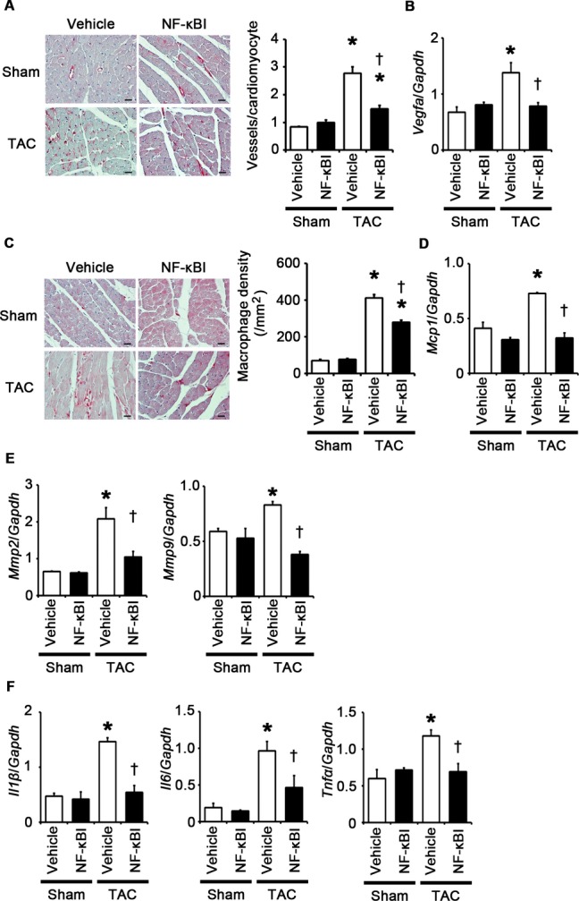 Figure 15.