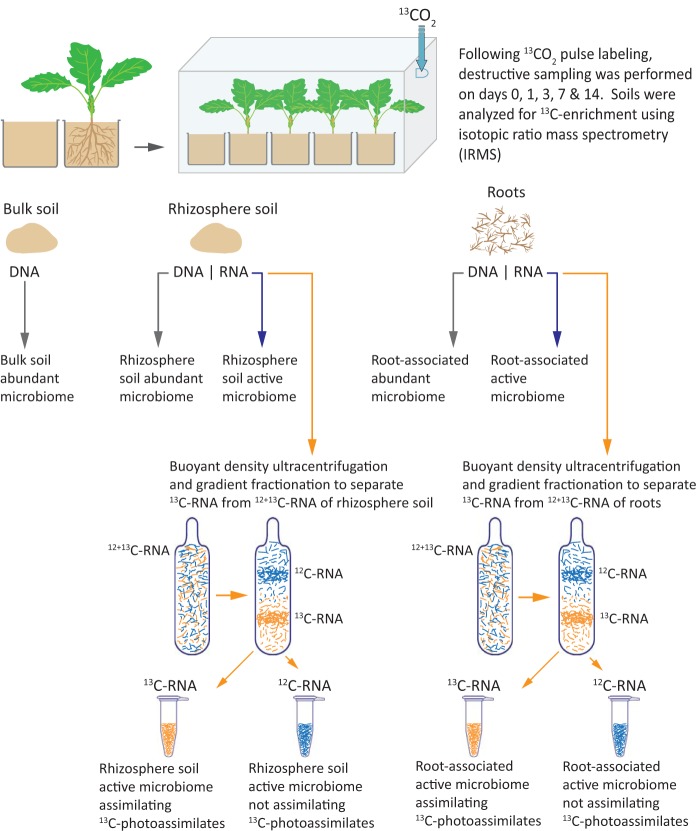 FIG 1