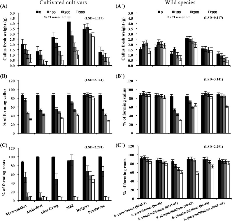 Figure 5. Callus fresh weight (A and A′), % of explants forming callus (B and B′) and % of explants forming roots (C and C′) of callus cultures initiated from leaves of six S. lycopersicum cultivars (‘Moneymaker’, ‘Aichi-first’, ‘Ailsa Craig’, ‘M82’, ‘Rutgers’ and ‘Ponderosa’) and two accessions of the wild species of S. peruvianum (lines 0043-1 and 0046) and four accessions of S. pimpinellifolium (lines 0041w1, 0043, 0048 and 0049-w1). Callus growth was initiated on media supplemented with three different concentrations of NaCl (100, 200 or 300 mmol L−1) and compared with the control (no NaCl). Values are means ±SE, (n=10) and the experiment was repeated three times.