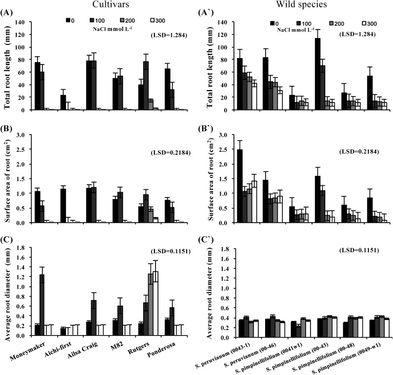 Figure 2. Total root length (A and A′), root surface area (B and B′) and average root diameter (C and C′) of in vitro-cultured shoot apices from six S. lycopersicum cultivars (‘Moneymaker’, ‘Aichi-first’, ‘Ailsa Craig’, ‘M82’, ‘Rutgers’ and ‘Ponderosa’) and two accessions of the wild species of S. peruvianum (lines 0043-1 and 0046) and four accessions of S. pimpinellifolium (lines 0041w1, 0043, 0048 and 0049-w1). Shoot apices were grown on media supplemented with three different concentrations of NaCl (100, 200 or 300 mmol L−1) and root growth parameters were compared with the control (no NaCl). Values are means ±SE, (n=10) and the experiment was repeated three times.