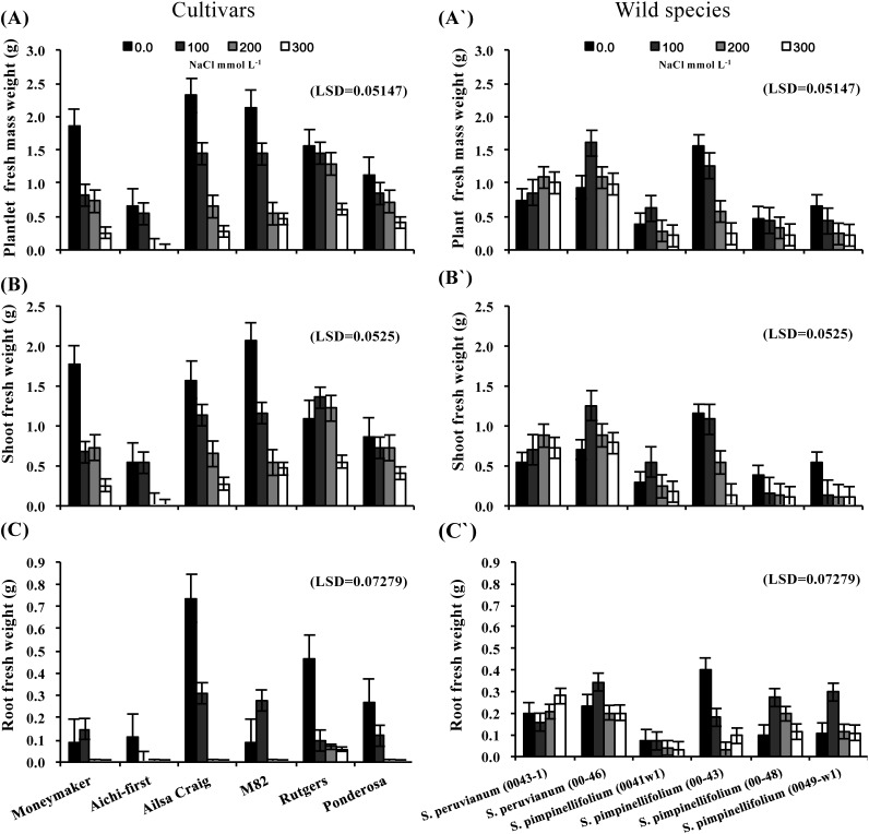 Figure 1. Plantlet fresh weight (A and A′), shoot fresh weight (B and B′) and root fresh weight (C and C′) of in vitro-cultured shoot apices of six tomato S. lycopersicum cultivars (‘Moneymaker’, ‘Aichi-first’, ‘Ailsa Craig’, ‘M82’, ‘Rutgers’ and ‘Ponderosa’) and two accessions of the wild species of S. peruvianum (lines 0043-1 and 0046) and four accessions of S. pimpinellifolium (0041w1, 0043, 0048 and 0049-w1). Shoot apices were grown on media supplemented with three different concentrations of NaCl (100, 200 or 300 mmol L−1) and plantlet growth parameters were compared with the control (no NaCl). Values are means ±SE, (n=10) and the experiment was repeated three times.