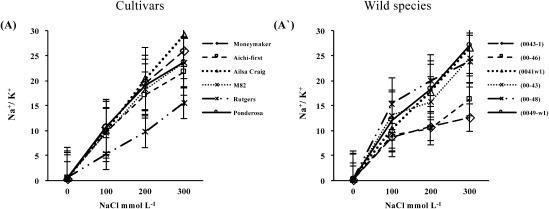 Figure 8. Sodium to potassium ratio over three different concentrations of NaCl (100, 200 or 300 mmol L−1) in shoots of (A) six S. lycopersicum cultivars ‘Moneymaker’, ‘Aichi-first’, ‘Ailsa Craig’, ‘M82’, ‘Rutgers’ and ‘Ponderosa’ and (A′) two accessions of the wild species of S. peruvianum (lines 0043-1 and 0046) and four accessions of S. pimpinellifolium (lines 0041w1, 0043, 0048 and 0049-w1). Values are means ±SE, (n=10) and the experiment was repeated three times.