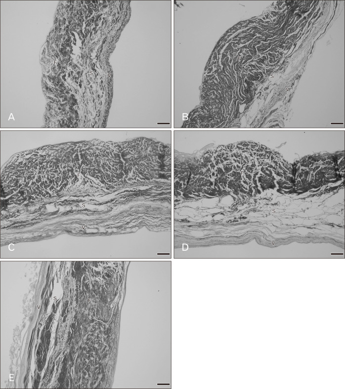 Fig. 8