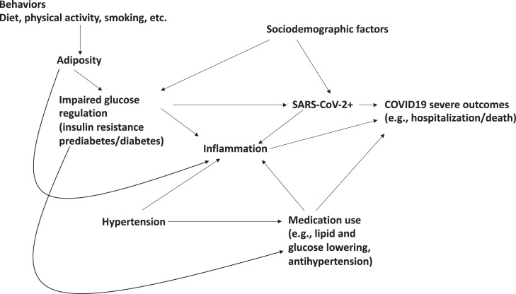 Fig 2