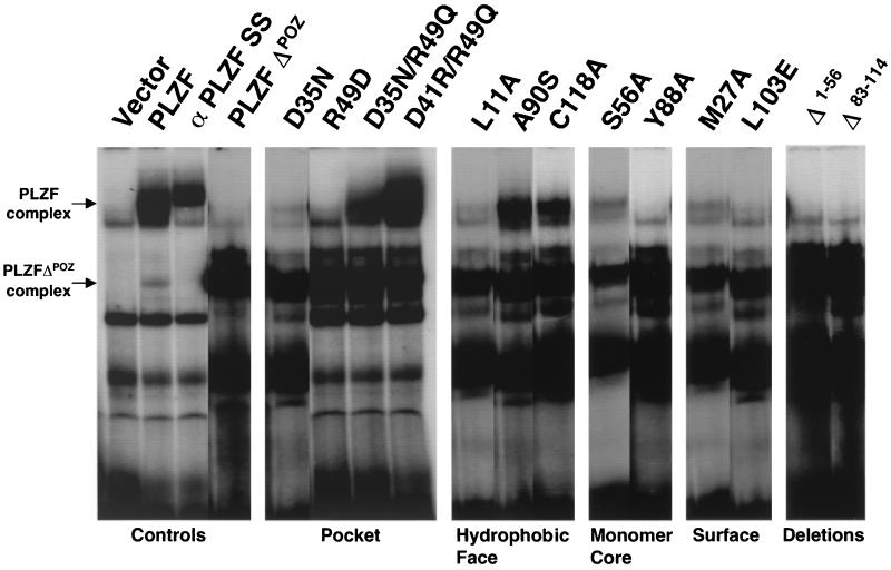 FIG. 7