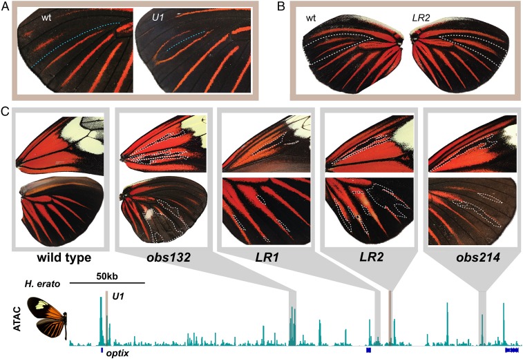 Fig. 3.