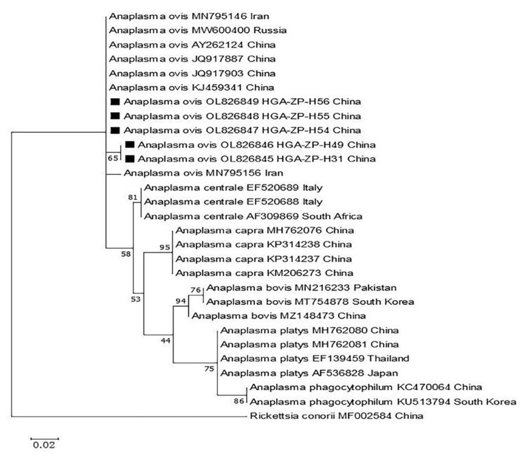 Fig. 3