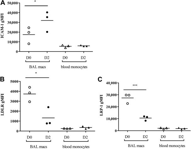 FIG 2