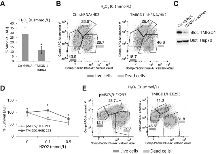 Figure 4