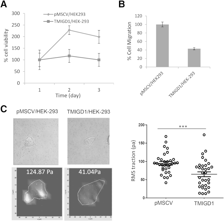 Figure 3