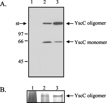 FIG. 1.