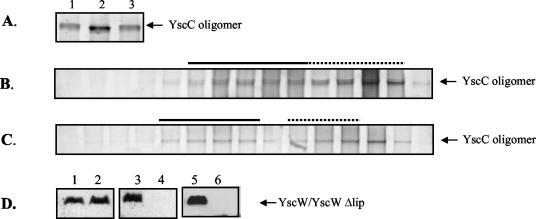 FIG. 8.