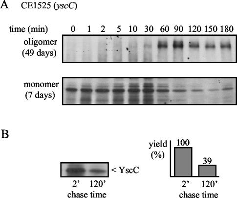 FIG. 6.