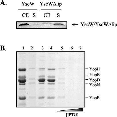 FIG. 7.