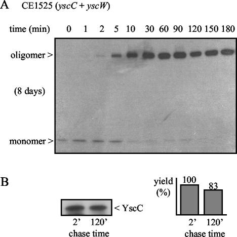 FIG. 5.